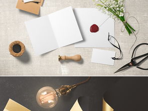 高端企業形象品牌設計VI樣機合集之三 商務VI樣機與企業形象策劃