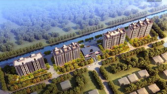 龍町企劃中心太倉雙鳳項目規劃發布，主推78-117㎡剛需戶型，樹立企業新形象