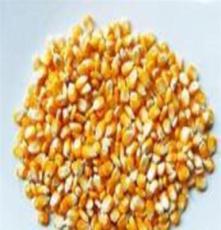 智能化糧食收購方案助力現(xiàn)代農(nóng)業(yè)高效運(yùn)營