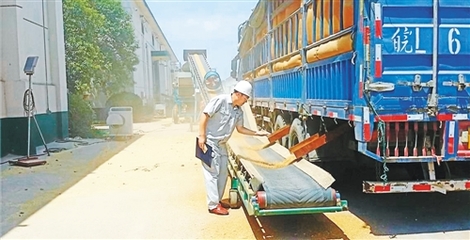 構建我國糧食安全長效機制 確保不出現大面積“賣糧難”